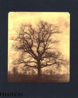 156px image